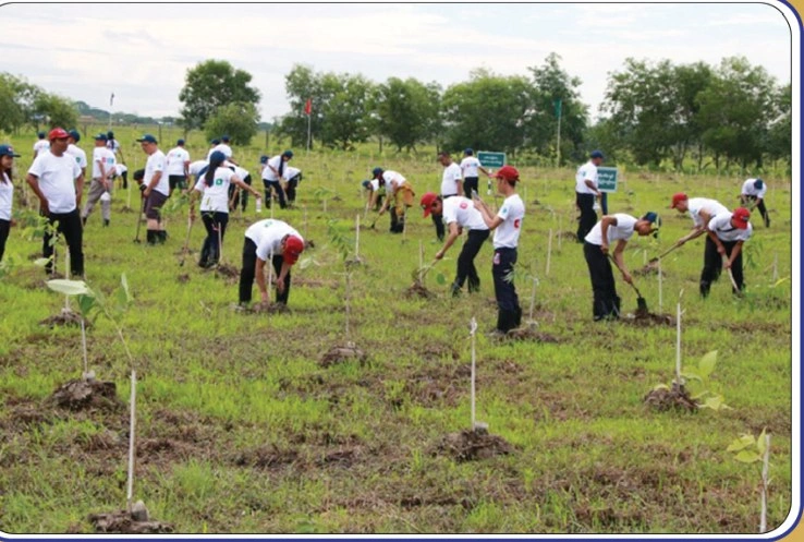 impact-treeplanting