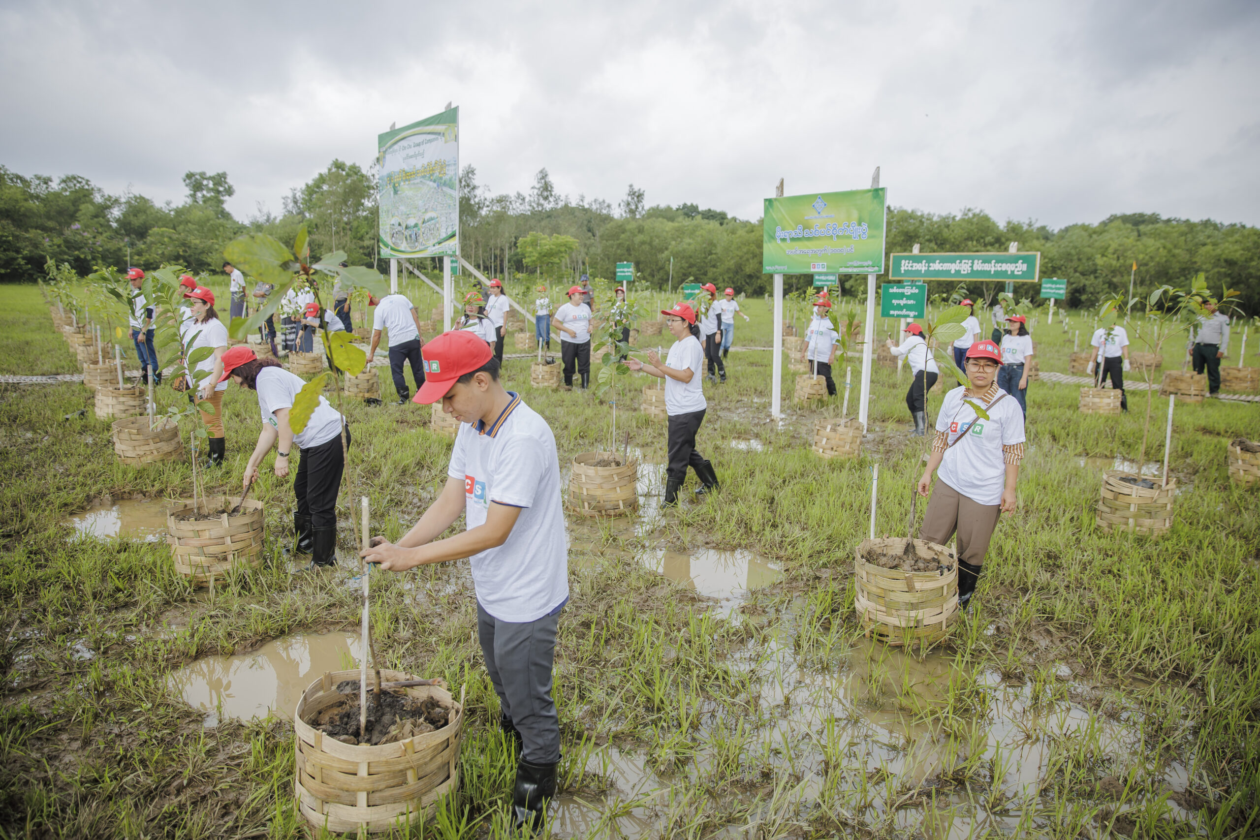 CSR photos (179)